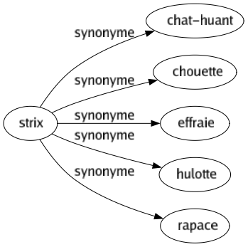 Synonyme de Strix : Chat-huant Chouette Effraie Hulotte Rapace 