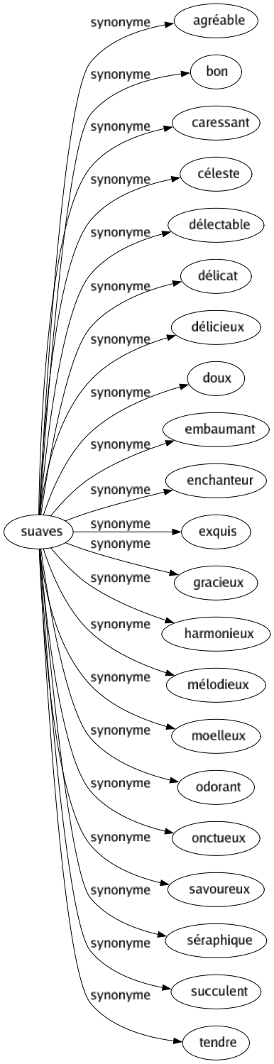 Synonyme de Suaves : Agréable Bon Caressant Céleste Délectable Délicat Délicieux Doux Embaumant Enchanteur Exquis Gracieux Harmonieux Mélodieux Moelleux Odorant Onctueux Savoureux Séraphique Succulent Tendre 