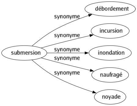 Synonyme de Submersion : Débordement Incursion Inondation Naufragé Noyade 