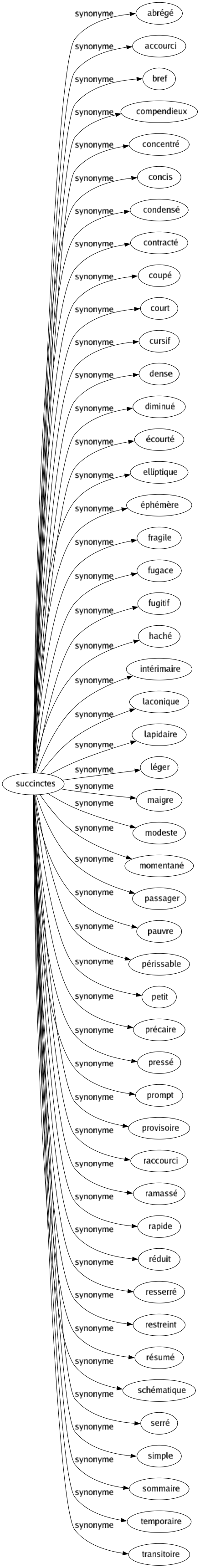 Synonyme de Succinctes : Abrégé Accourci Bref Compendieux Concentré Concis Condensé Contracté Coupé Court Cursif Dense Diminué Écourté Elliptique Éphémère Fragile Fugace Fugitif Haché Intérimaire Laconique Lapidaire Léger Maigre Modeste Momentané Passager Pauvre Périssable Petit Précaire Pressé Prompt Provisoire Raccourci Ramassé Rapide Réduit Resserré Restreint Résumé Schématique Serré Simple Sommaire Temporaire Transitoire 