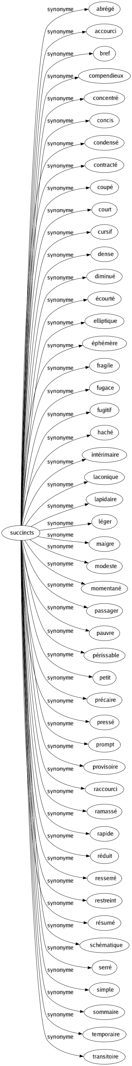 Synonyme de Succincts : Abrégé Accourci Bref Compendieux Concentré Concis Condensé Contracté Coupé Court Cursif Dense Diminué Écourté Elliptique Éphémère Fragile Fugace Fugitif Haché Intérimaire Laconique Lapidaire Léger Maigre Modeste Momentané Passager Pauvre Périssable Petit Précaire Pressé Prompt Provisoire Raccourci Ramassé Rapide Réduit Resserré Restreint Résumé Schématique Serré Simple Sommaire Temporaire Transitoire 