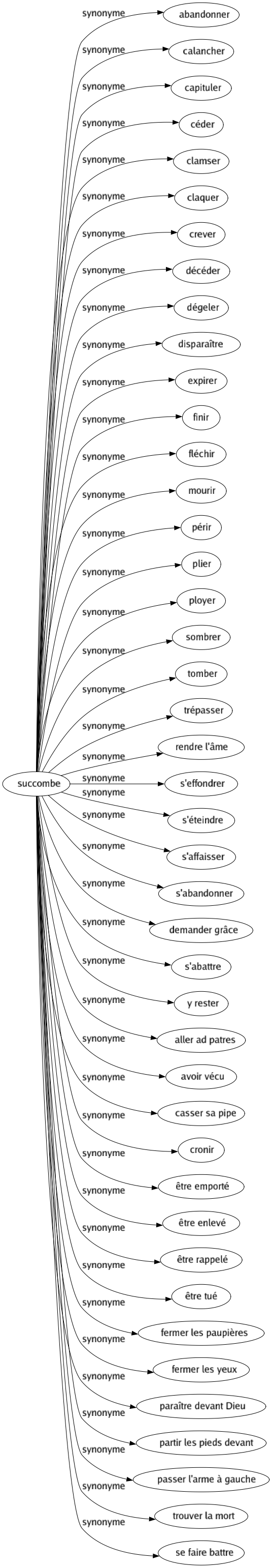 Synonyme de Succombe : Abandonner Calancher Capituler Céder Clamser Claquer Crever Décéder Dégeler Disparaître Expirer Finir Fléchir Mourir Périr Plier Ployer Sombrer Tomber Trépasser Rendre l'âme S'effondrer S'éteindre S'affaisser S'abandonner Demander grâce S'abattre Y rester Aller ad patres Avoir vécu Casser sa pipe Cronir Être emporté Être enlevé Être rappelé Être tué Fermer les paupières Fermer les yeux Paraître devant dieu Partir les pieds devant Passer l'arme à gauche Trouver la mort Se faire battre 