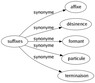 Synonyme de Suffixes : Affixe Désinence Formant Particule Terminaison 