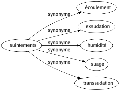 Synonyme de Suintements : Écoulement Exsudation Humidité Suage Transsudation 