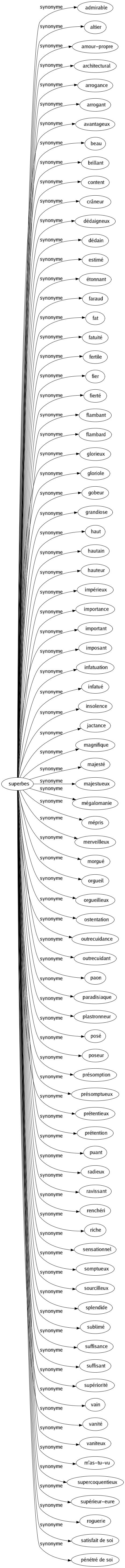 Synonyme de Superbes : Admirable Altier Amour-propre Architectural Arrogance Arrogant Avantageux Beau Brillant Content Crâneur Dédaigneux Dédain Estimé Étonnant Faraud Fat Fatuité Fertile Fier Fierté Flambant Flambard Glorieux Gloriole Gobeur Grandiose Haut Hautain Hauteur Impérieux Importance Important Imposant Infatuation Infatué Insolence Jactance Magnifique Majesté Majestueux Mégalomanie Mépris Merveilleux Morgué Orgueil Orgueilleux Ostentation Outrecuidance Outrecuidant Paon Paradisiaque Plastronneur Posé Poseur Présomption Présomptueux Prétentieux Prétention Puant Radieux Ravissant Renchéri Riche Sensationnel Somptueux Sourcilleux Splendide Sublimé Suffisance Suffisant Supériorité Vain Vanité Vaniteux M'as-tu-vu Supercoquentieux Supérieur-eure Roguerie Satisfait de soi Pénétré de soi 