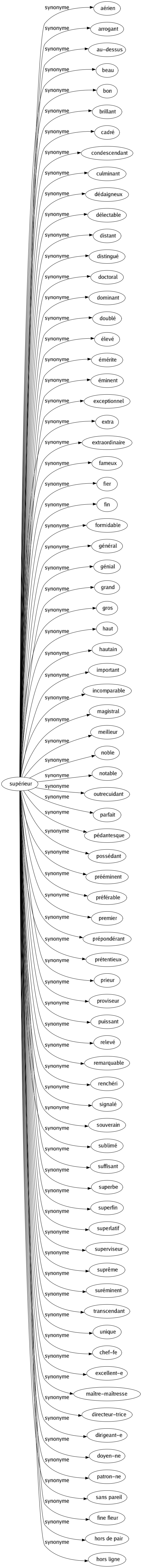 Synonyme de Supérieur : Aérien Arrogant Au-dessus Beau Bon Brillant Cadré Condescendant Culminant Dédaigneux Délectable Distant Distingué Doctoral Dominant Doublé Élevé Émérite Éminent Exceptionnel Extra Extraordinaire Fameux Fier Fin Formidable Général Génial Grand Gros Haut Hautain Important Incomparable Magistral Meilleur Noble Notable Outrecuidant Parfait Pédantesque Possédant Prééminent Préférable Premier Prépondérant Prétentieux Prieur Proviseur Puissant Relevé Remarquable Renchéri Signalé Souverain Sublimé Suffisant Superbe Superfin Superlatif Superviseur Suprême Suréminent Transcendant Unique Chef-fe Excellent-e Maître-maîtresse Directeur-trice Dirigeant-e Doyen-ne Patron-ne Sans pareil Fine fleur Hors de pair Hors ligne 