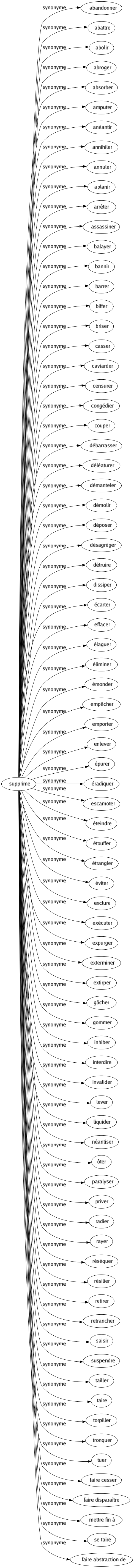 Synonyme de Supprime : Abandonner Abattre Abolir Abroger Absorber Amputer Anéantir Annihiler Annuler Aplanir Arrêter Assassiner Balayer Bannir Barrer Biffer Briser Casser Caviarder Censurer Congédier Couper Débarrasser Déléaturer Démanteler Démolir Déposer Désagréger Détruire Dissiper Écarter Effacer Élaguer Éliminer Émonder Empêcher Emporter Enlever Épurer Éradiquer Escamoter Éteindre Étouffer Étrangler Éviter Exclure Exécuter Expurger Exterminer Extirper Gâcher Gommer Inhiber Interdire Invalider Lever Liquider Néantiser Ôter Paralyser Priver Radier Rayer Réséquer Résilier Retirer Retrancher Saisir Suspendre Tailler Taire Torpiller Tronquer Tuer Faire cesser Faire disparaître Mettre fin à Se taire Faire abstraction de 