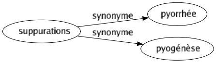 Synonyme de Suppurations : Pyorrhée Pyogénèse 