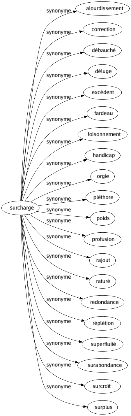 Synonyme de Surcharge : Alourdissement Correction Débauché Déluge Excèdent Fardeau Foisonnement Handicap Orgie Pléthore Poids Profusion Rajout Raturé Redondance Réplétion Superfluité Surabondance Surcroît Surplus 