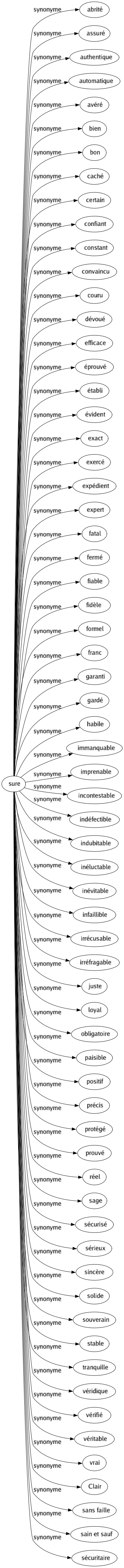 Synonyme de Sure : Abrité Assuré Authentique Automatique Avéré Bien Bon Caché Certain Confiant Constant Convaincu Couru Dévoué Efficace Éprouvé Établi Évident Exact Exercé Expédient Expert Fatal Fermé Fiable Fidèle Formel Franc Garanti Gardé Habile Immanquable Imprenable Incontestable Indéfectible Indubitable Inéluctable Inévitable Infaillible Irrécusable Irréfragable Juste Loyal Obligatoire Paisible Positif Précis Protégé Prouvé Réel Sage Sécurisé Sérieux Sincère Solide Souverain Stable Tranquille Véridique Vérifié Véritable Vrai Clair Sans faille Sain et sauf Sécuritaire 