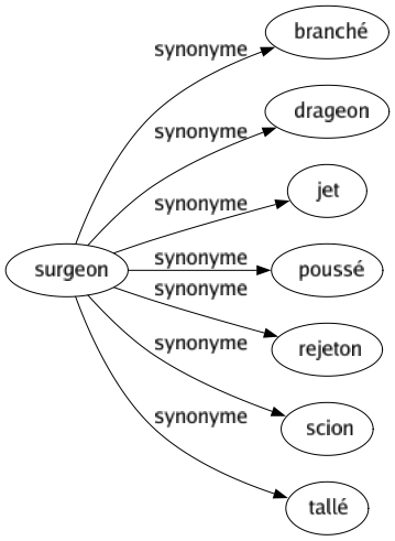 Synonyme de Surgeon : Branché Drageon Jet Poussé Rejeton Scion Tallé 