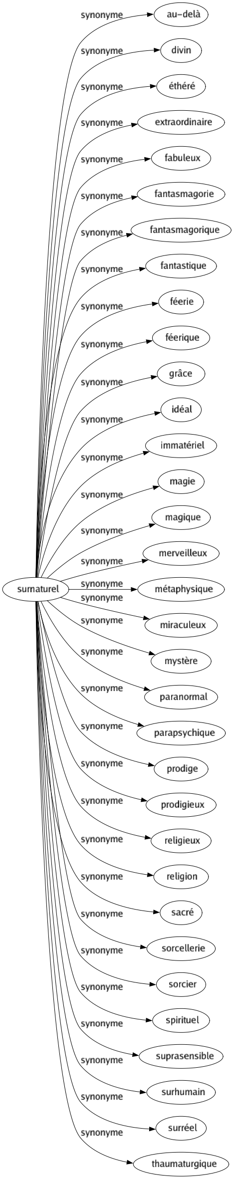 Synonyme de Surnaturel : Au-delà Divin Éthéré Extraordinaire Fabuleux Fantasmagorie Fantasmagorique Fantastique Féerie Féerique Grâce Idéal Immatériel Magie Magique Merveilleux Métaphysique Miraculeux Mystère Paranormal Parapsychique Prodige Prodigieux Religieux Religion Sacré Sorcellerie Sorcier Spirituel Suprasensible Surhumain Surréel Thaumaturgique 