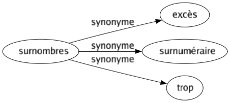 Synonyme de Surnombres : Excès Surnuméraire Trop 