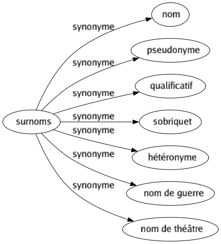 Synonyme de Surnoms : Nom Pseudonyme Qualificatif Sobriquet Hétéronyme Nom de guerre Nom de théâtre 