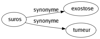 Synonyme de Suros : Exostose Tumeur 