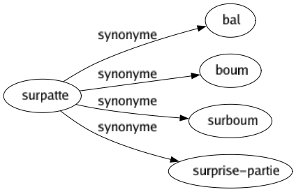 Synonyme de Surpatte : Bal Boum Surboum Surprise-partie 