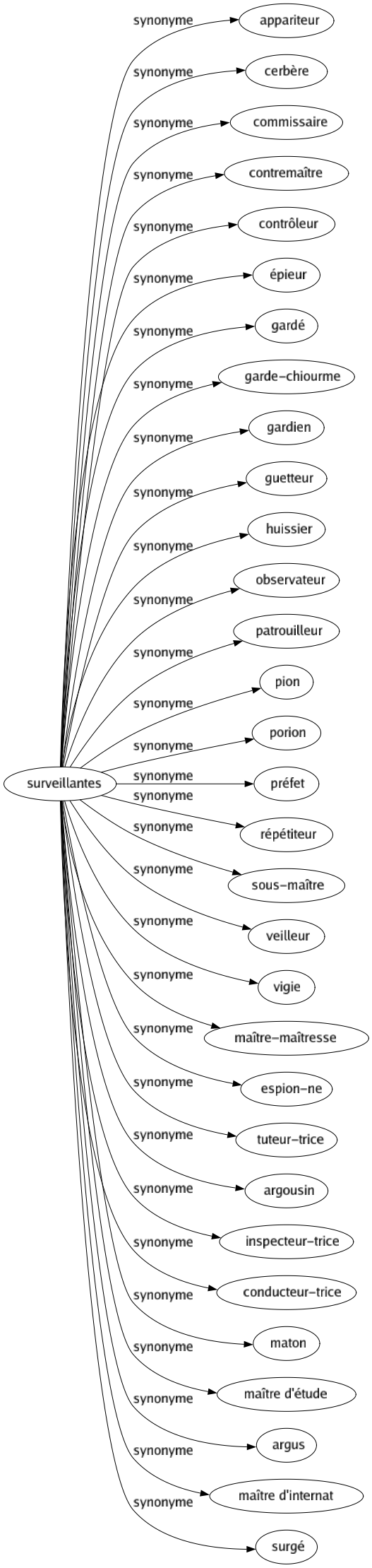 Synonyme de Surveillantes : Appariteur Cerbère Commissaire Contremaître Contrôleur Épieur Gardé Garde-chiourme Gardien Guetteur Huissier Observateur Patrouilleur Pion Porion Préfet Répétiteur Sous-maître Veilleur Vigie Maître-maîtresse Espion-ne Tuteur-trice Argousin Inspecteur-trice Conducteur-trice Maton Maître d'étude Argus Maître d'internat Surgé 