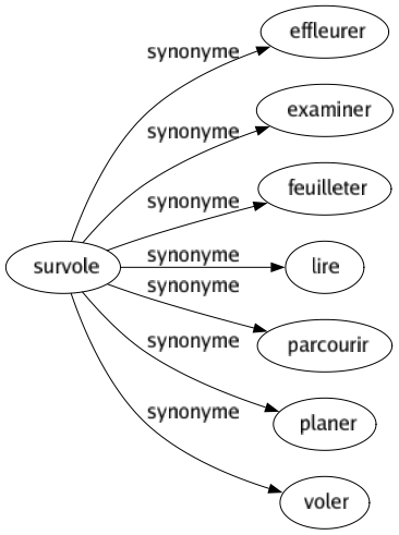 Synonyme de Survole : Effleurer Examiner Feuilleter Lire Parcourir Planer Voler 