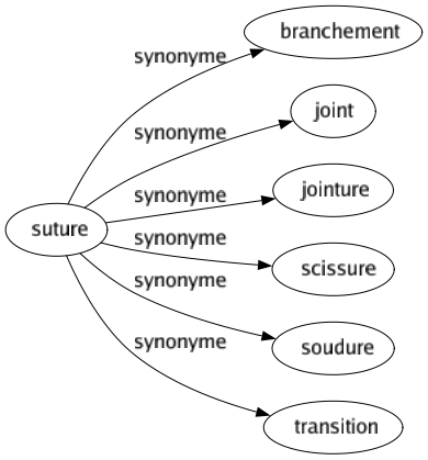 Synonyme de Suture : Branchement Joint Jointure Scissure Soudure Transition 