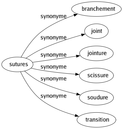 Synonyme de Sutures : Branchement Joint Jointure Scissure Soudure Transition 