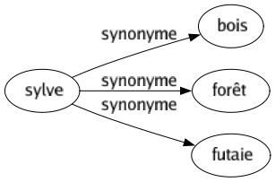 Synonyme de Sylve : Bois Forêt Futaie 