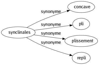 Synonyme de Synclinales : Concave Pli Plissement Repli 