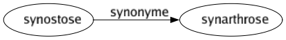 Synonyme de Synostose : Synarthrose 