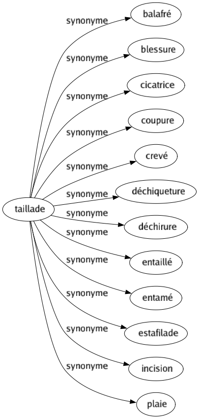 Synonyme de Taillade : Balafré Blessure Cicatrice Coupure Crevé Déchiqueture Déchirure Entaillé Entamé Estafilade Incision Plaie 