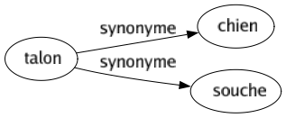 Synonyme de Talon : Chien Souche 