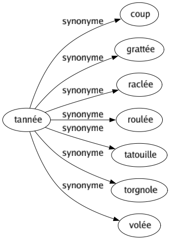 Synonyme de Tannée : Coup Grattée Raclée Roulée Tatouille Torgnole Volée 