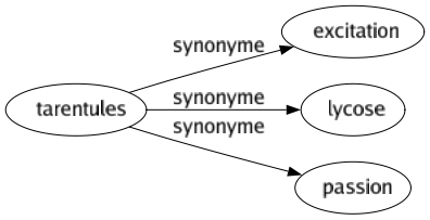 Synonyme de Tarentules : Excitation Lycose Passion 