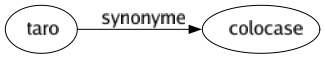 Synonyme de Taro : Colocase 