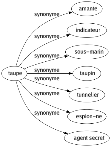 Synonyme de Taupe : Amante Indicateur Sous-marin Taupin Tunnelier Espion-ne Agent secret 