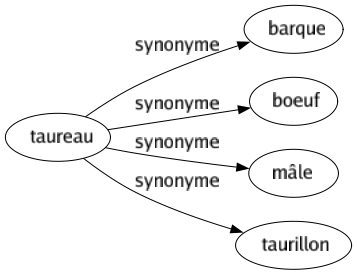 Synonyme de Taureau : Barque Boeuf Mâle Taurillon 