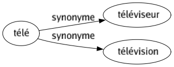 Synonyme de Télé : Téléviseur Télévision 