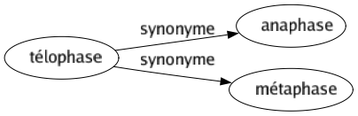 Synonyme de Télophase : Anaphase Métaphase 