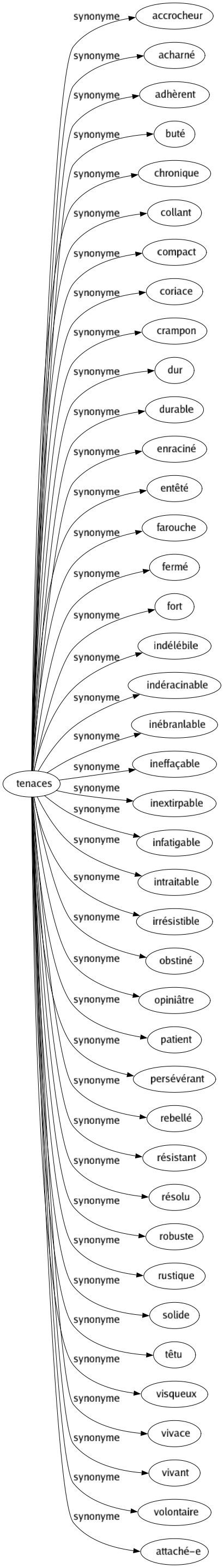 Synonyme de Tenaces : Accrocheur Acharné Adhèrent Buté Chronique Collant Compact Coriace Crampon Dur Durable Enraciné Entêté Farouche Fermé Fort Indélébile Indéracinable Inébranlable Ineffaçable Inextirpable Infatigable Intraitable Irrésistible Obstiné Opiniâtre Patient Persévérant Rebellé Résistant Résolu Robuste Rustique Solide Têtu Visqueux Vivace Vivant Volontaire Attaché-e 