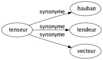 Synonyme de Tenseur : Hauban Tendeur Vecteur 