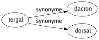 Synonyme de Tergal : Dacron Dorsal 