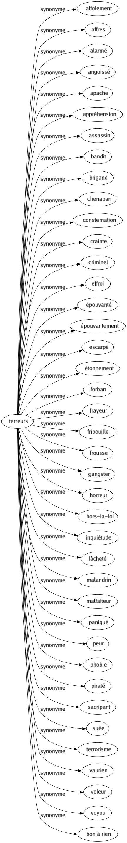 Synonyme de Terreurs : Affolement Affres Alarmé Angoissé Apache Appréhension Assassin Bandit Brigand Chenapan Consternation Crainte Criminel Effroi Épouvanté Épouvantement Escarpé Étonnement Forban Frayeur Fripouille Frousse Gangster Horreur Hors-la-loi Inquiétude Lâcheté Malandrin Malfaiteur Paniqué Peur Phobie Piraté Sacripant Suée Terrorisme Vaurien Voleur Voyou Bon à rien 