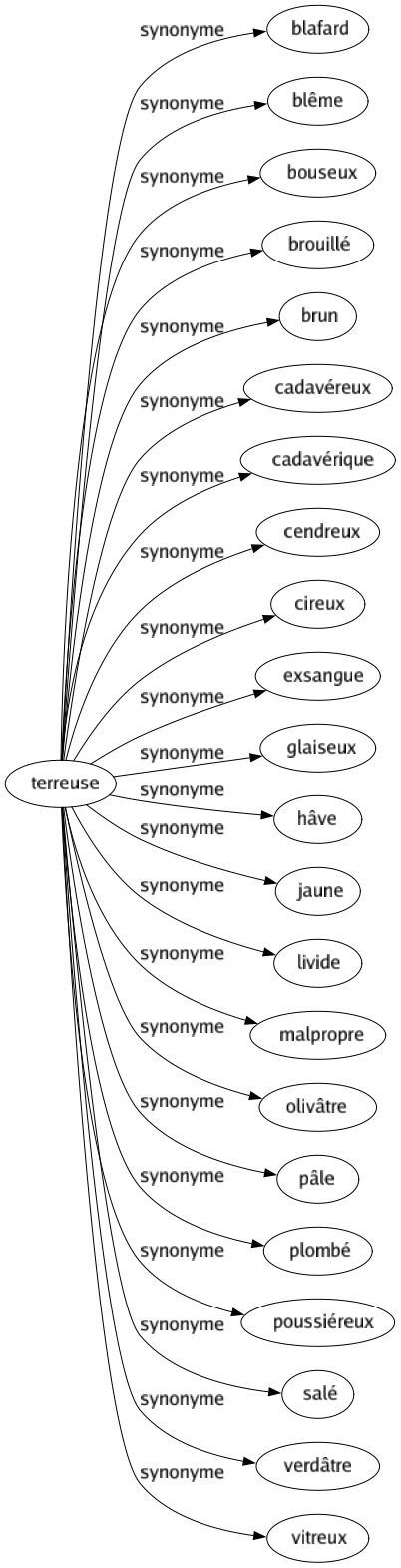 Synonyme de Terreuse : Blafard Blême Bouseux Brouillé Brun Cadavéreux Cadavérique Cendreux Cireux Exsangue Glaiseux Hâve Jaune Livide Malpropre Olivâtre Pâle Plombé Poussiéreux Salé Verdâtre Vitreux 