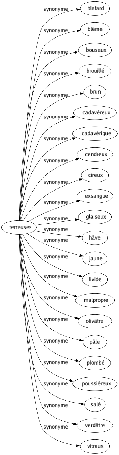 Synonyme de Terreuses : Blafard Blême Bouseux Brouillé Brun Cadavéreux Cadavérique Cendreux Cireux Exsangue Glaiseux Hâve Jaune Livide Malpropre Olivâtre Pâle Plombé Poussiéreux Salé Verdâtre Vitreux 