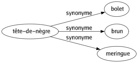 Synonyme de Tête-de-nègre : Bolet Brun Meringue 