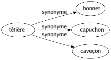 Synonyme de Têtière : Bonnet Capuchon Caveçon 