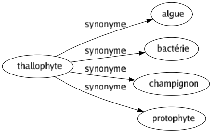 Synonyme de Thallophyte : Algue Bactérie Champignon Protophyte 