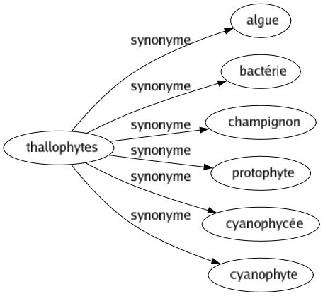 Synonyme de Thallophytes : Algue Bactérie Champignon Protophyte Cyanophycée Cyanophyte 