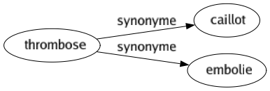 Synonyme de Thrombose : Caillot Embolie 