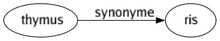 Synonyme de Thymus : Ris 