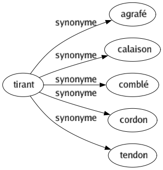 Synonyme de Tirant : Agrafé Calaison Comblé Cordon Tendon 