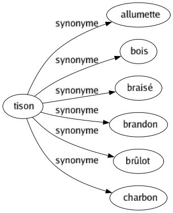 Synonyme de Tison : Allumette Bois Braisé Brandon Brûlot Charbon 